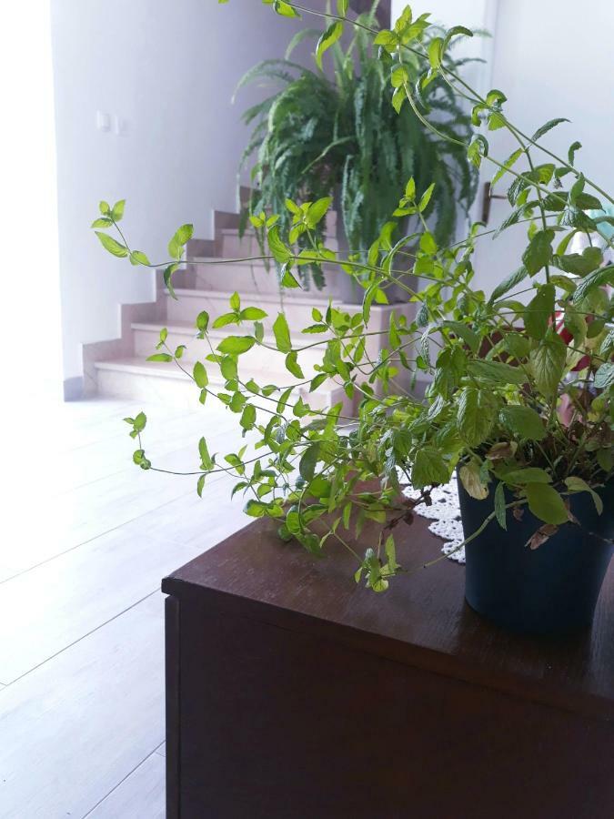 Apartmani I Soba Andrijasevic Μακάρσκα Εξωτερικό φωτογραφία