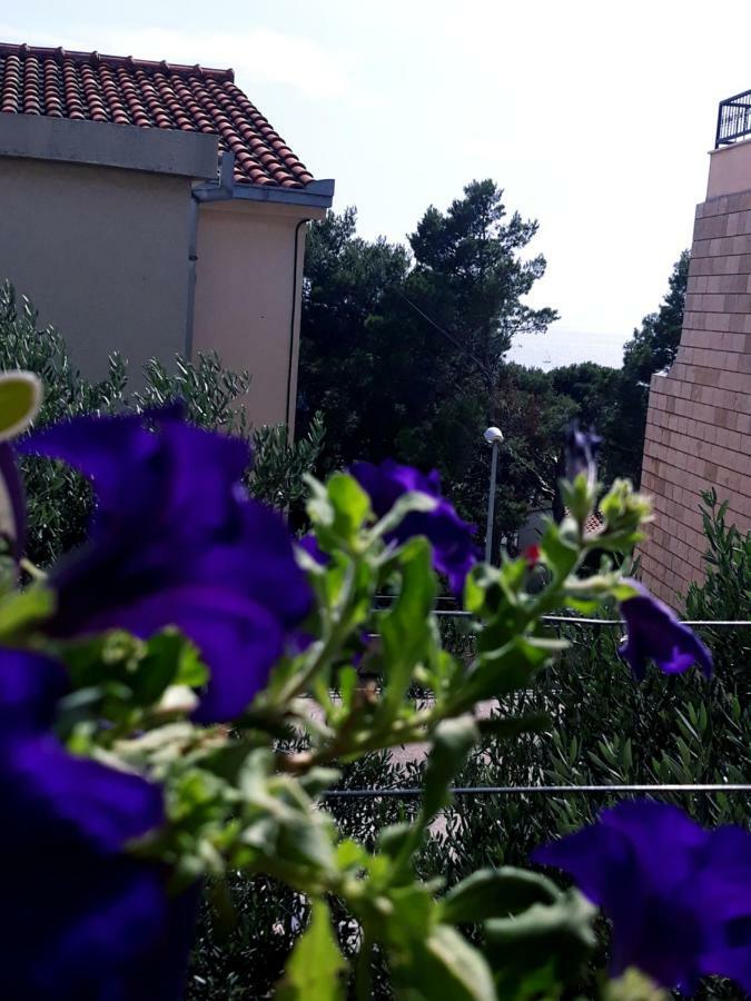 Apartmani I Soba Andrijasevic Μακάρσκα Εξωτερικό φωτογραφία